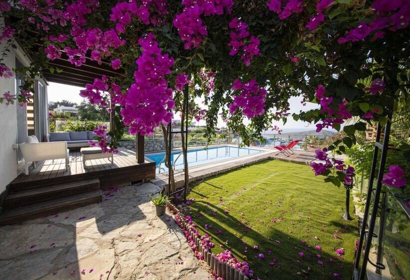 House With Amazing Sea View And Pool In Gumusluk