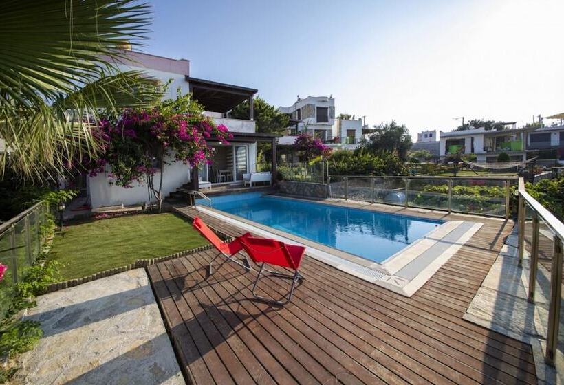 House With Amazing Sea View And Pool In Gumusluk