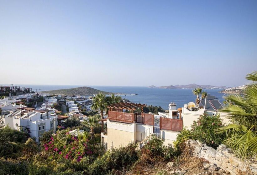 House With Amazing Sea View And Pool In Gumusluk