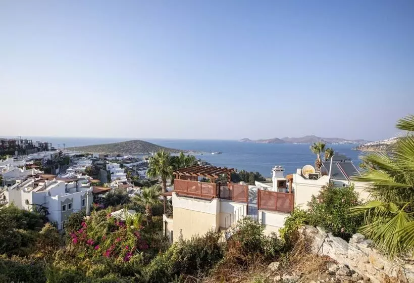 House With Amazing Sea View And Pool In Gumusluk
