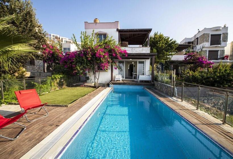 House With Amazing Sea View And Pool In Gumusluk