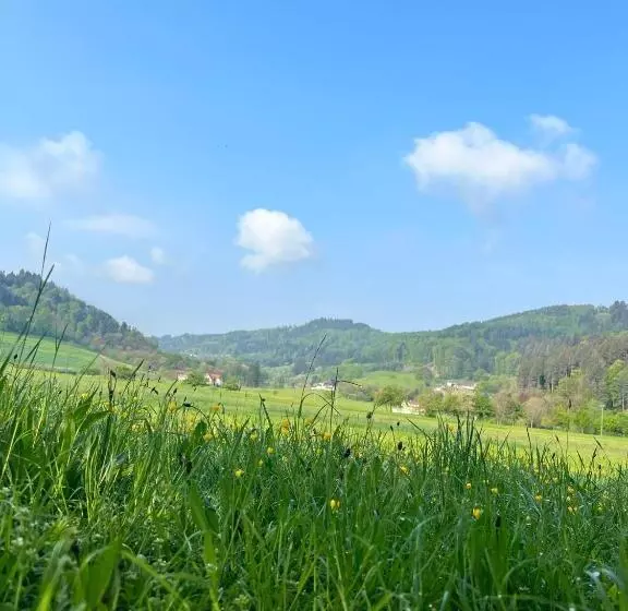 Black Forest Apartments