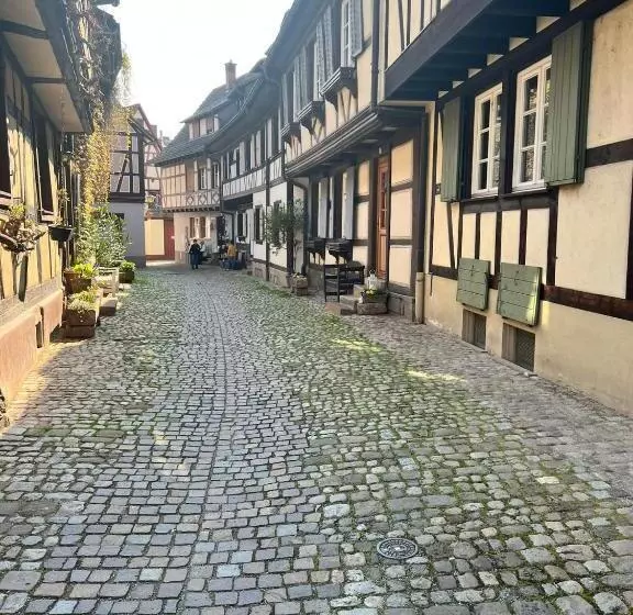 Black Forest Apartments