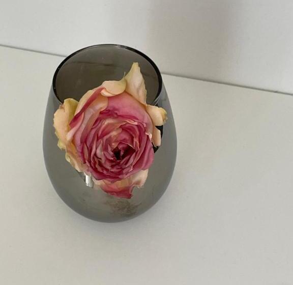 Black Forest Apartments