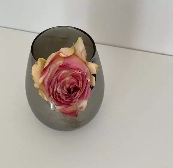 Black Forest Apartments