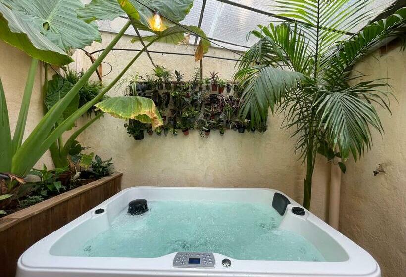 Myinsolite   Cocon Tropical, Jacuzzi, énigme
