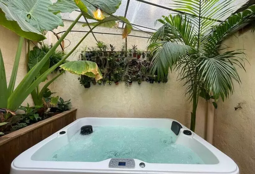 Myinsolite   Cocon Tropical, Jacuzzi, énigme