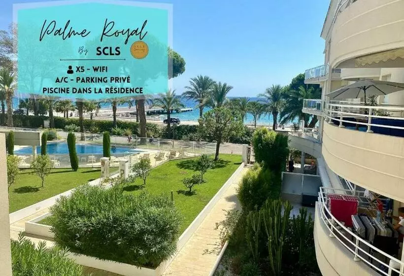 Palme Royale By Scls Locations