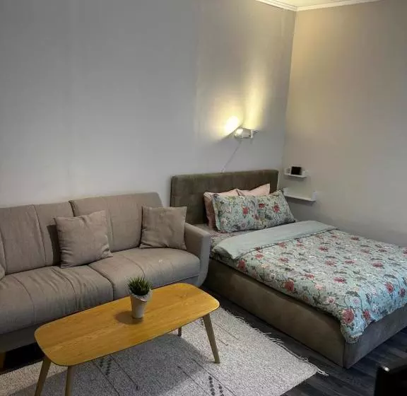 1 Bedroom Apartment Near Kadriorg Swan Pond