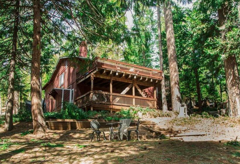 Pet/ski Friendly Hummingbird Nest Lodge