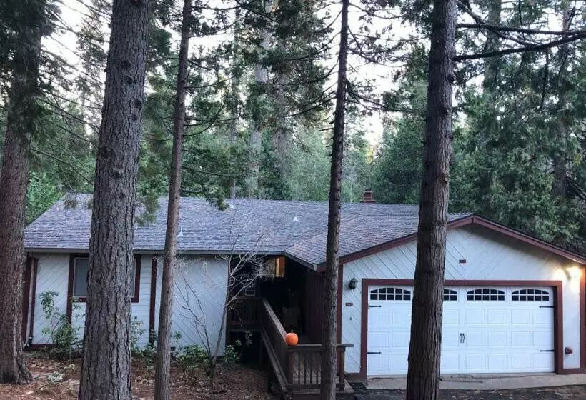 Pet/ski Friendly Hummingbird Nest Lodge