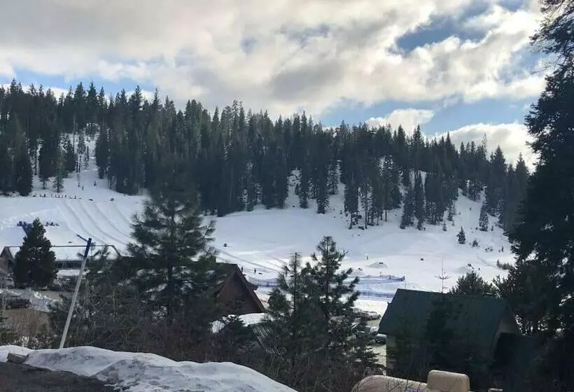 Pet/ski Friendly Hummingbird Nest Lodge