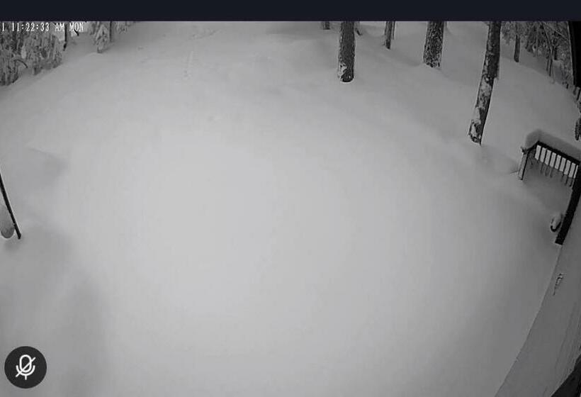 Pet/ski Friendly Hummingbird Nest Lodge