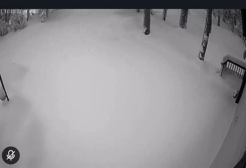 Pet/ski Friendly Hummingbird Nest Lodge