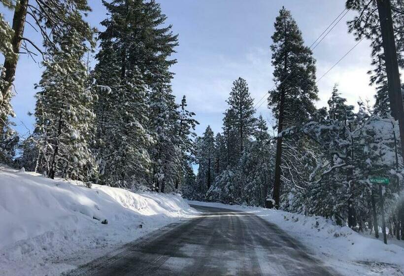 Pet/ski Friendly Hummingbird Nest Lodge