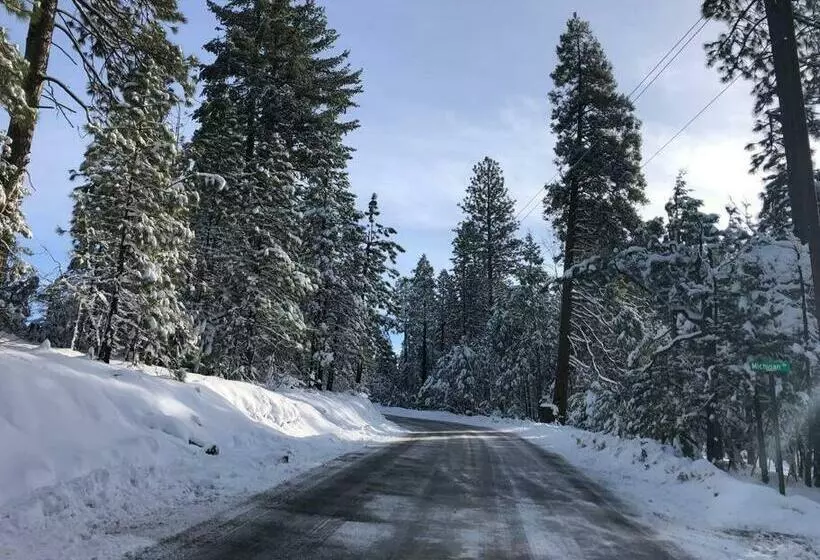 Pet/ski Friendly Hummingbird Nest Lodge