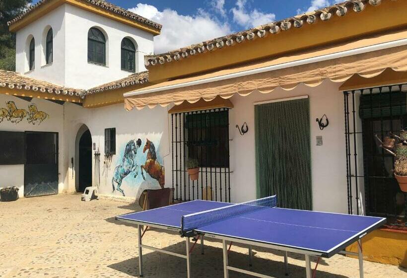 Maison Dans Hacienda Avec Chevaux