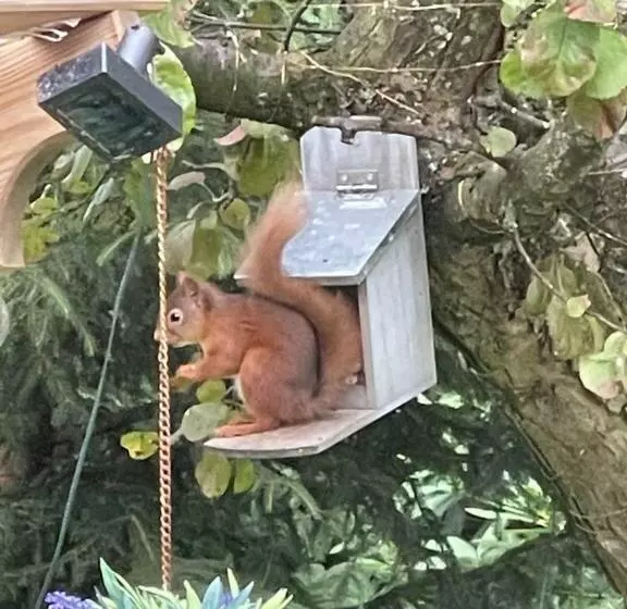 Drummond Neuk   Pets Welcome Free, Country Setting, Free Onsite Parking