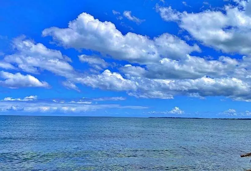 Oceanfront Condo W/ Free Parking + High Speed Wifi