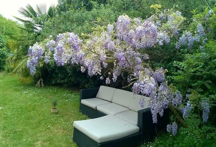 Nicely Renovated Wine Grower House