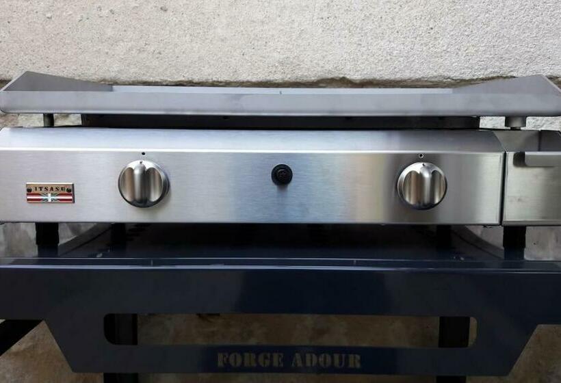 Nicely Renovated Wine Grower House