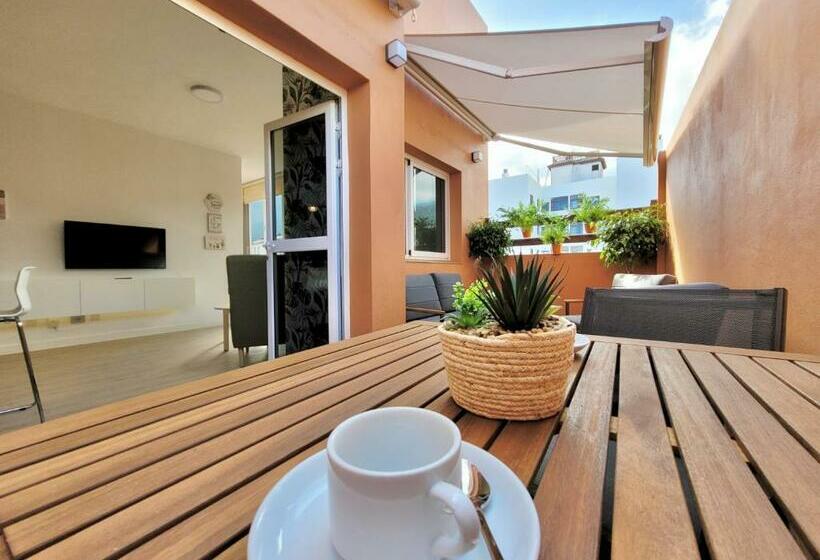 The Valley View Apartments