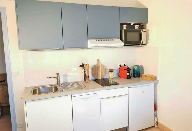 L Annécien   Centre Ville Netflix Wifi Disney+