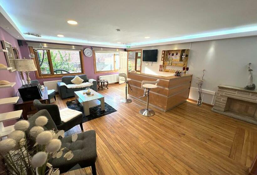 Incredible Downtown Duplex With Interior Backyard