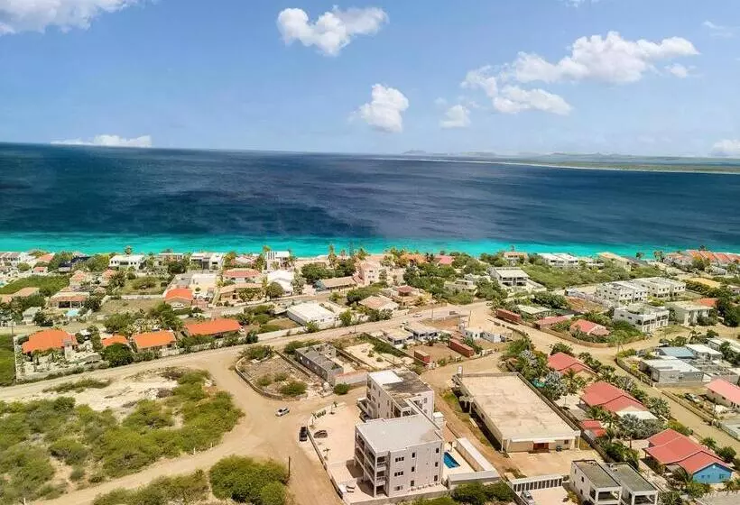 Belnem Breeze Kas Gosa