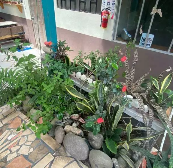 Blue Morpho House