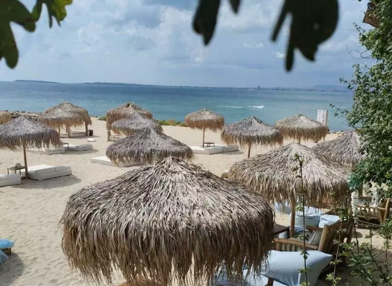 William S Apartments   Fourth Pretty Studio