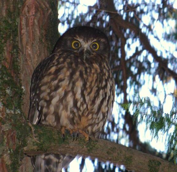 Anglers Paradise Motel