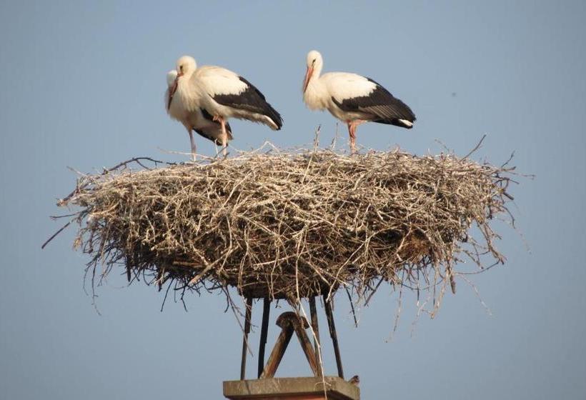 Bed and Breakfast Gartenpension Fischl