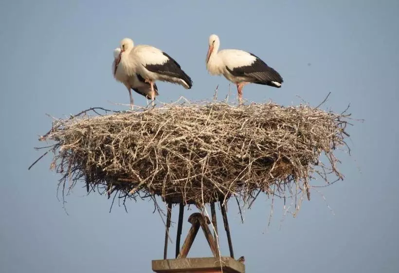 צימר Gartenpension Fischl