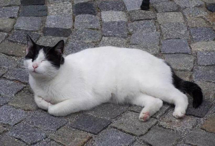 צימר Gartenpension Fischl