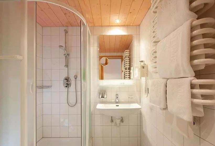 Отель Alpenblume