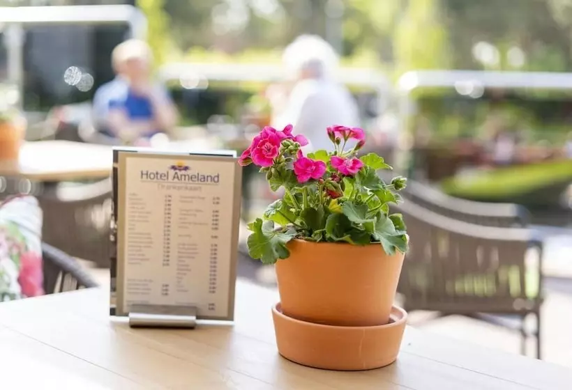 فندق Ameland