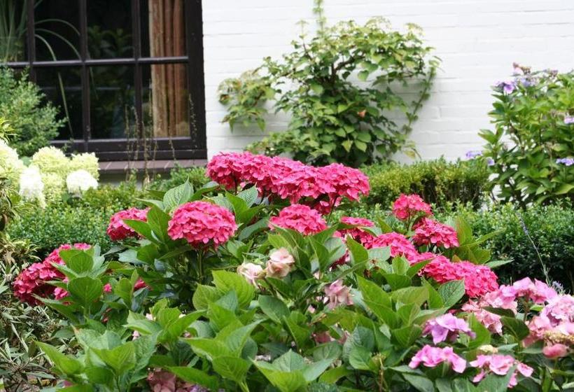 ホテル Auberge De Papenberg