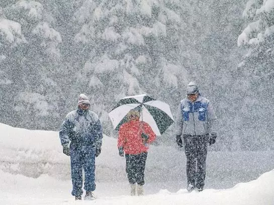 Bauernhof Held Rainer