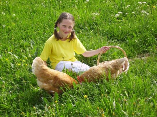 Bauernhof Nussbaumer