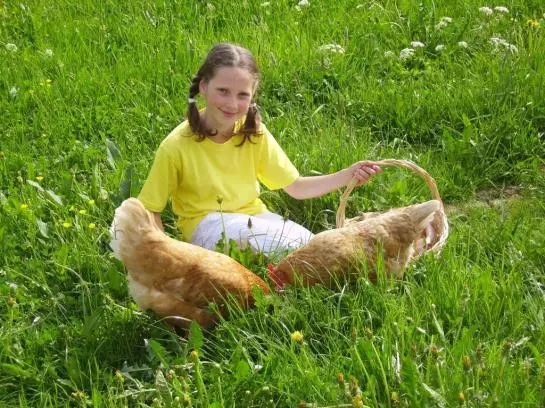 Bauernhof Nussbaumer