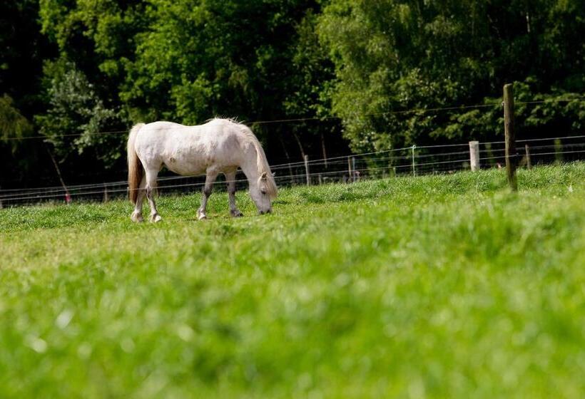 호텔 En B&b Erve Bruggert