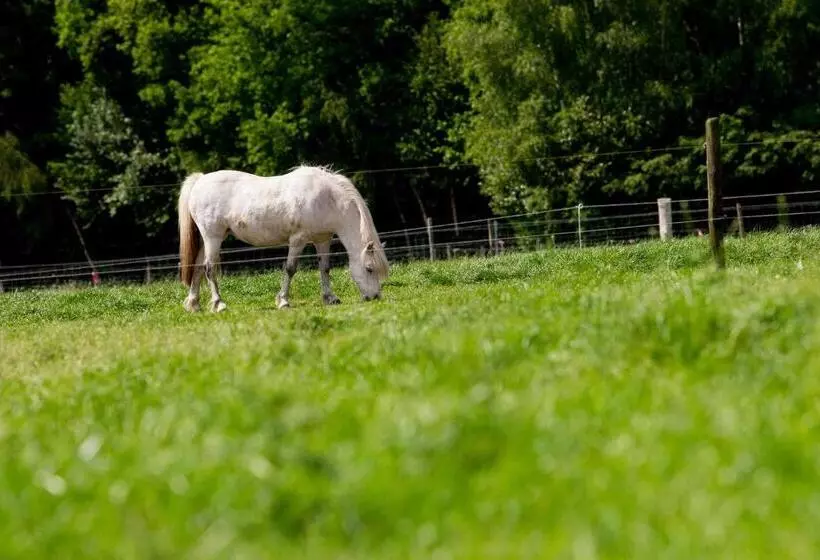 ホテル En B&b Erve Bruggert