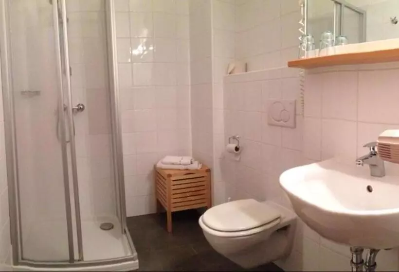 Отель Gasthof Pension Weisz Artner