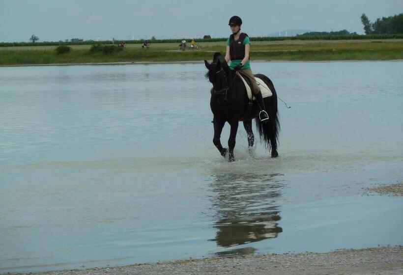 Отель Gasthof Pension Weisz Artner