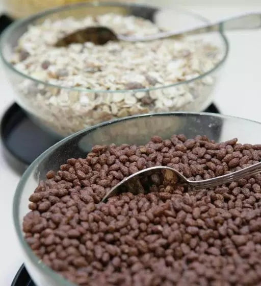 בית מלון כפרי Michelangelo