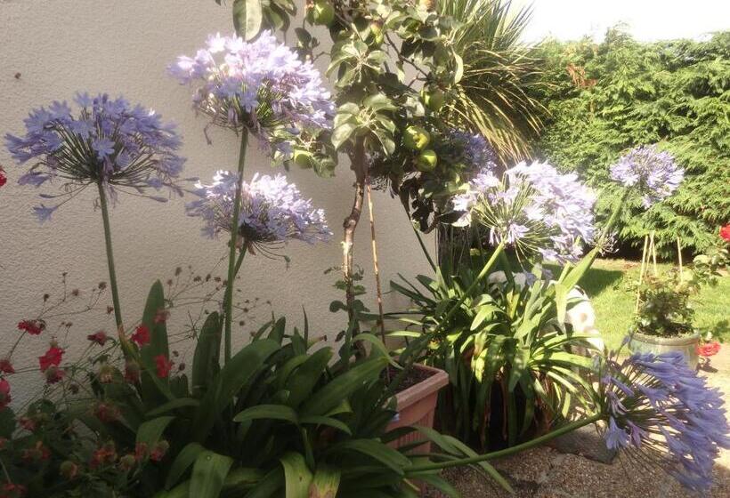 فندق Orley House B&b