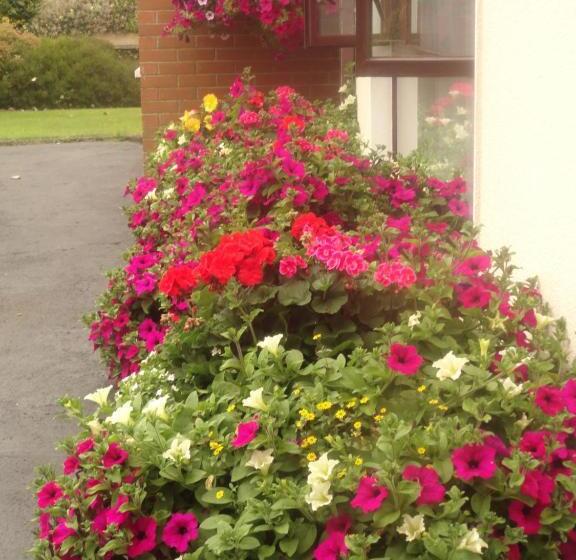 فندق Orley House B&b