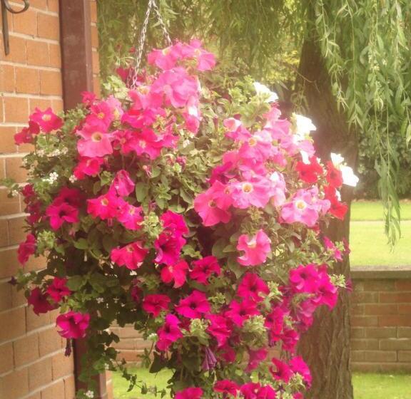 فندق Orley House B&b