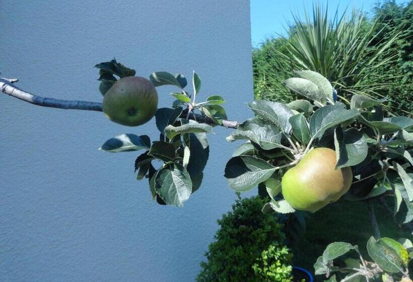 فندق Orley House B&b